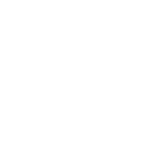 誠 CONFIDENCE